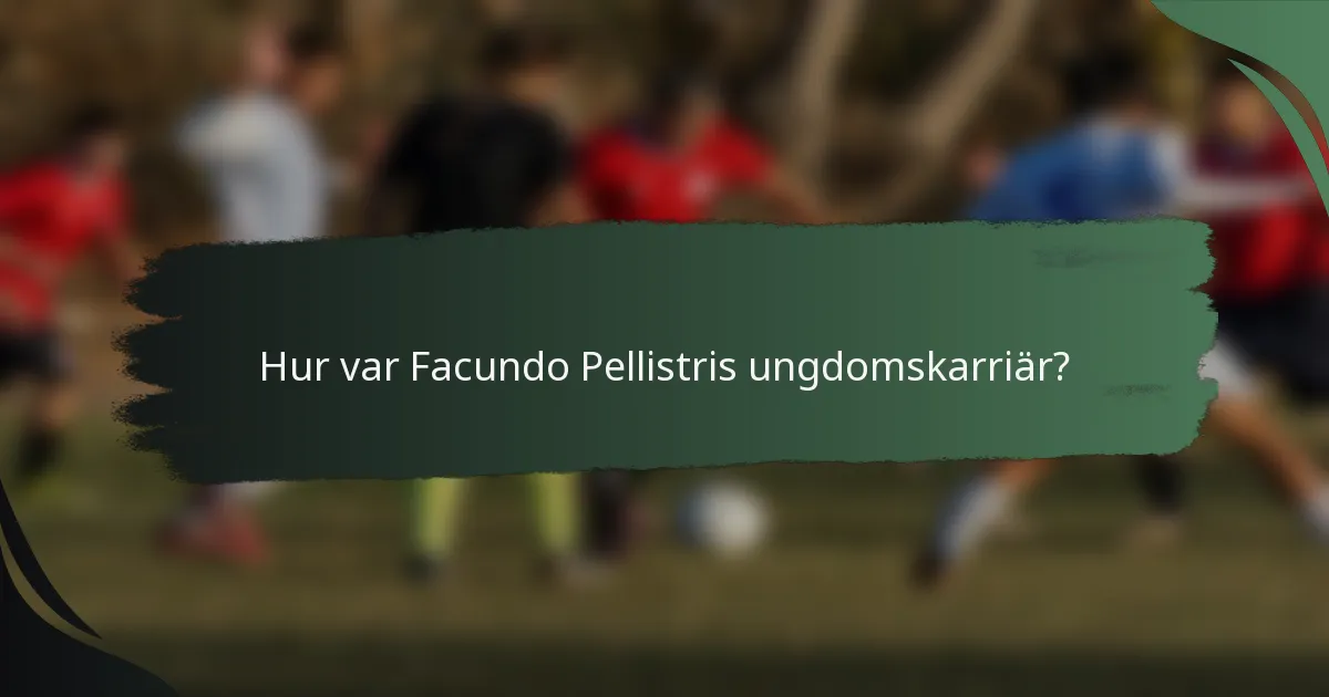 Hur var Facundo Pellistris ungdomskarriär?