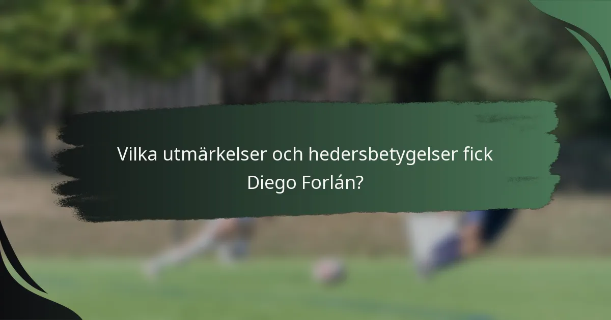 Vilka utmärkelser och hedersbetygelser fick Diego Forlán?